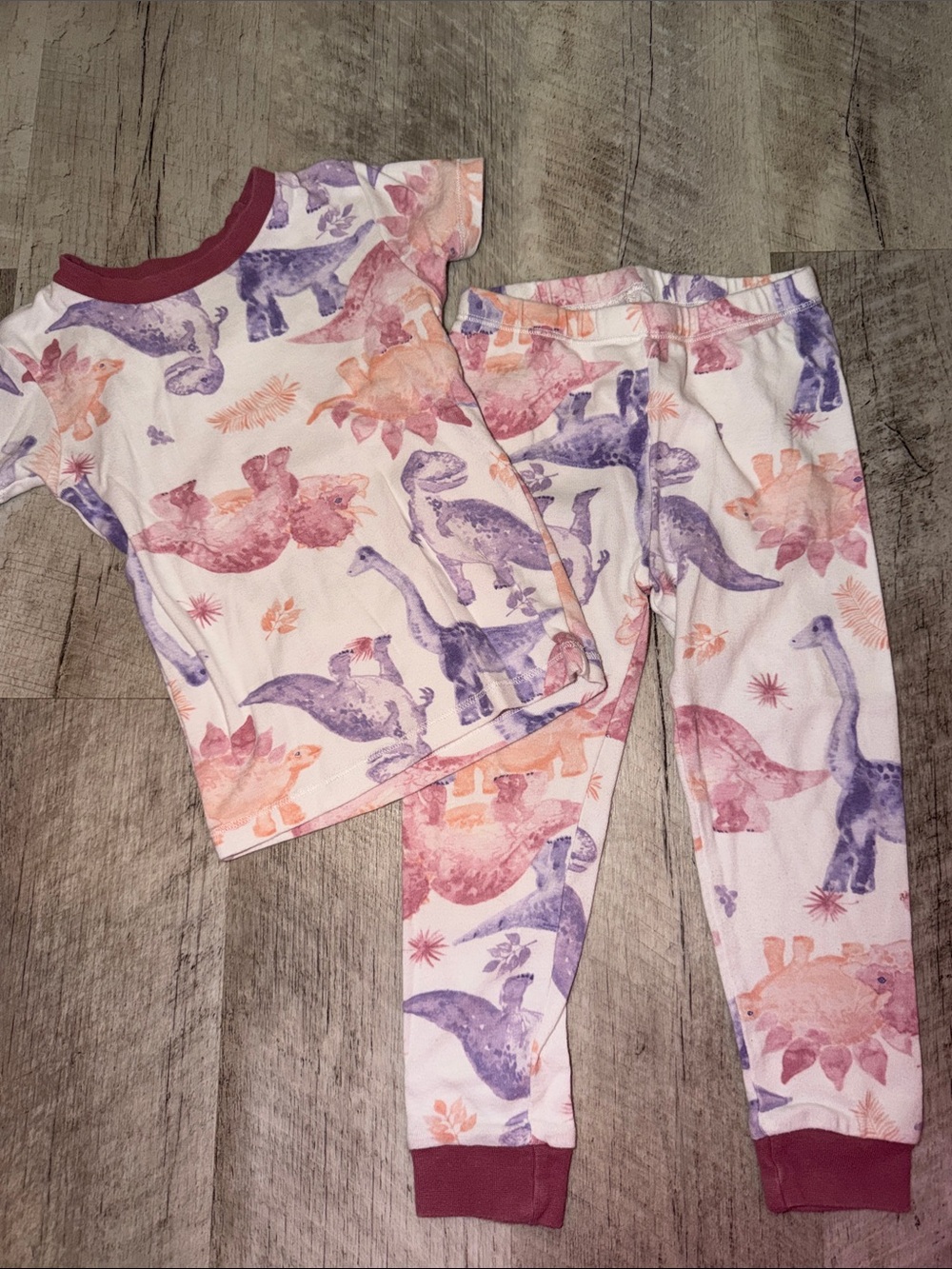 Burt's Bees Pink & Purple Dinosaur Pajama Set